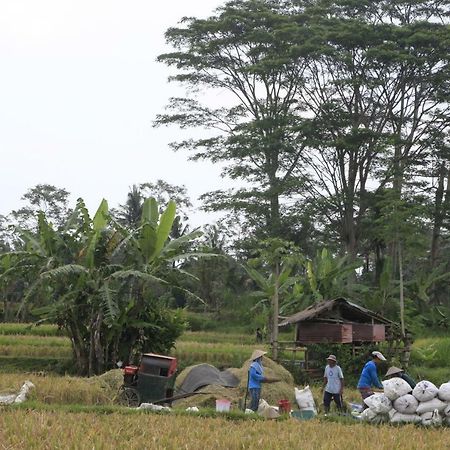 Pondok Gepokan Homestay Ubud Exterior foto