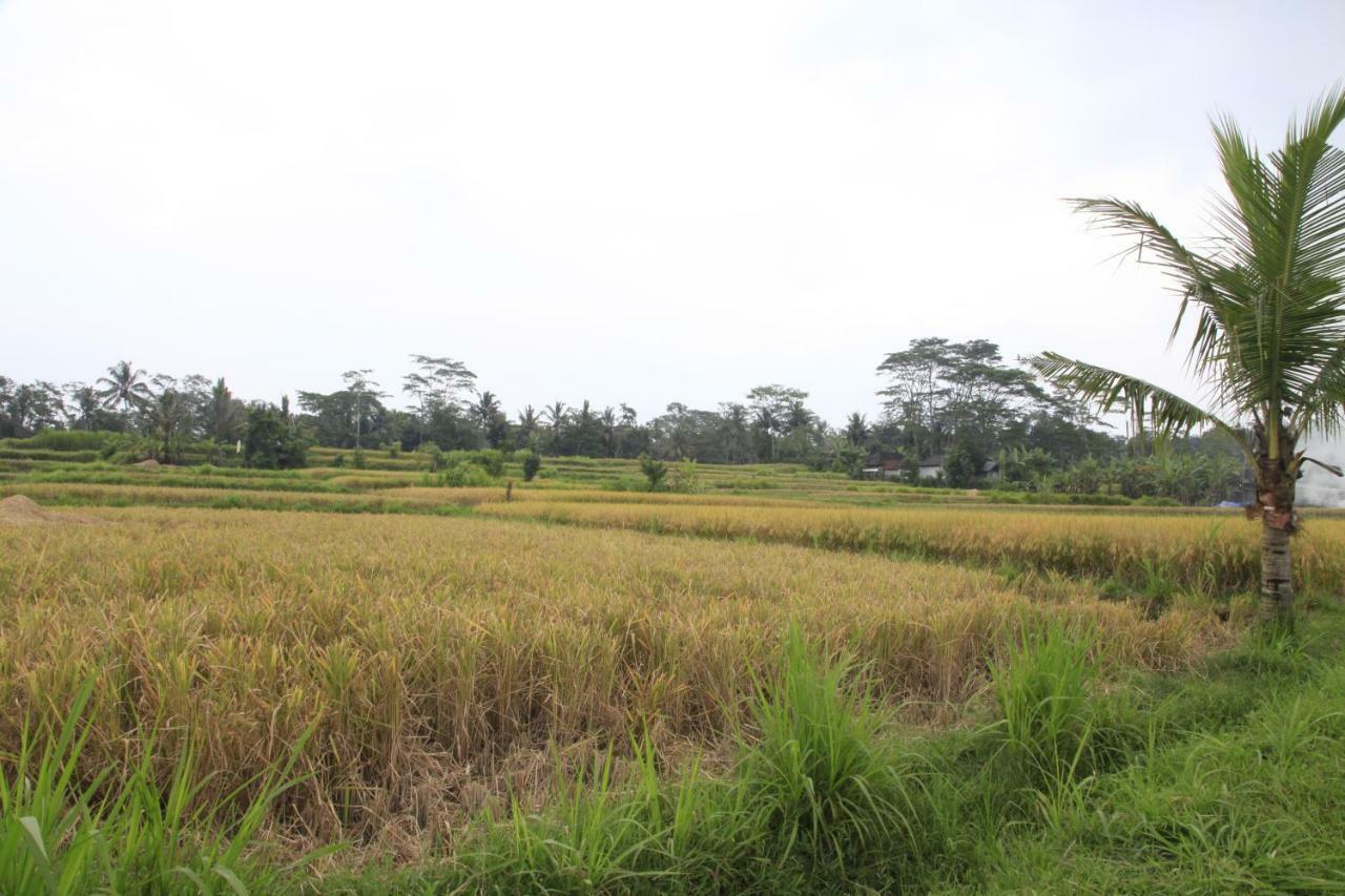 Pondok Gepokan Homestay Ubud Exterior foto