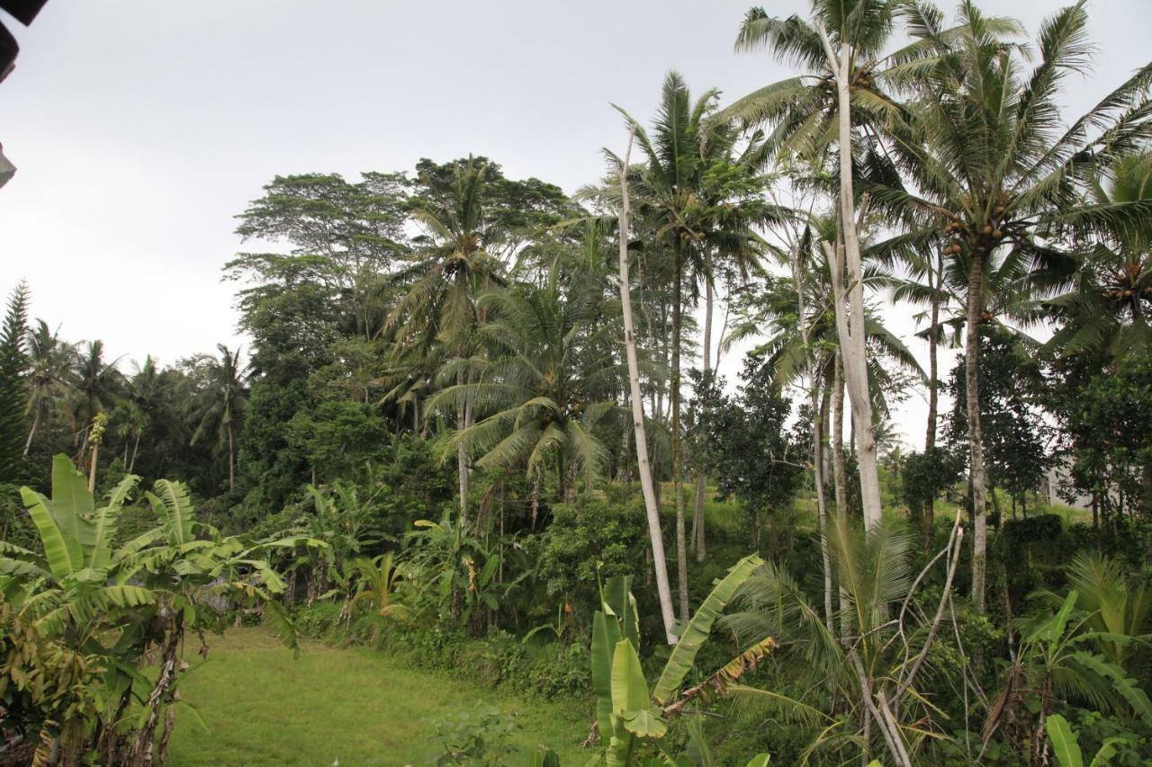 Pondok Gepokan Homestay Ubud Exterior foto